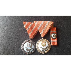 463.Szolgálati kitüntetés pár