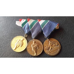 464. Dunai árvízvédelemért sor