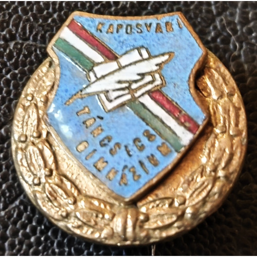907. Kaposvár - iskola jelvény