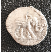 276. Septimius Severus  dénár "R"