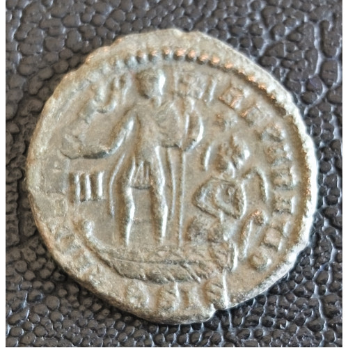 256. Constantius maiorina