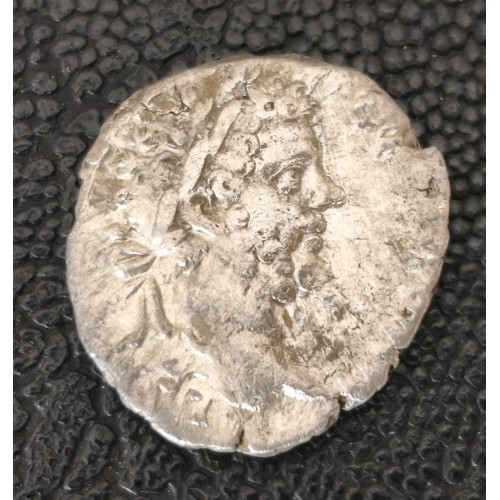260. Septimius Severus