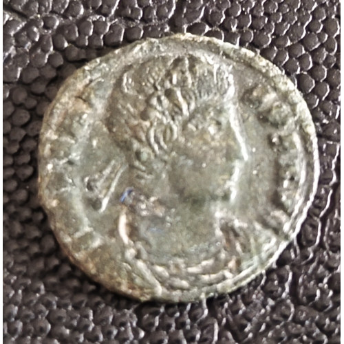 138. Constans