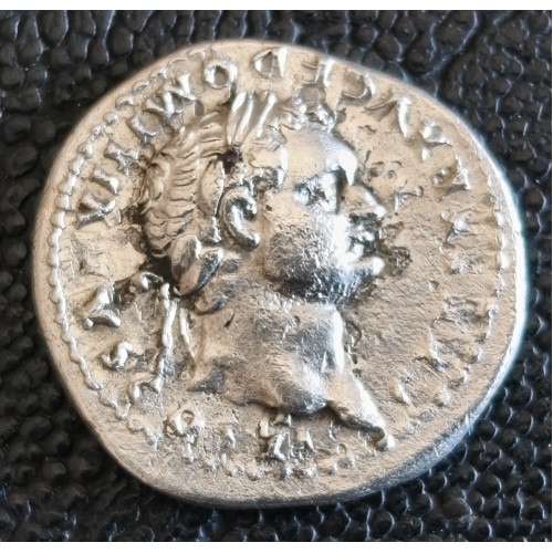 341. Domitianus