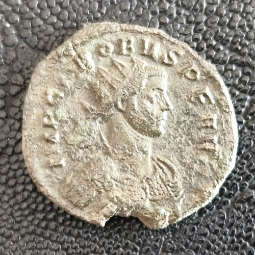 365. Probus  antoninianus
