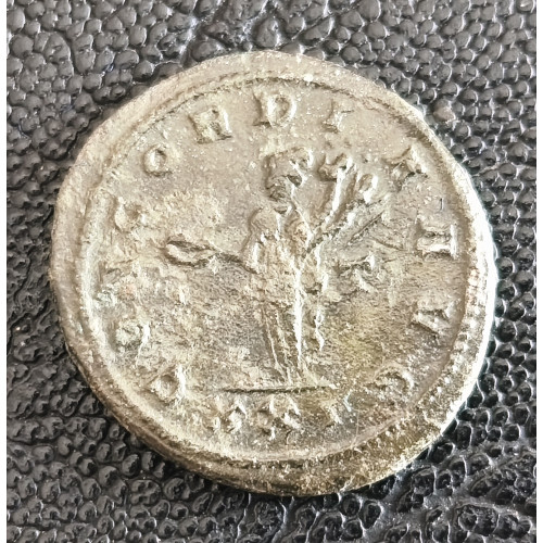 364. Probus  antoninianus