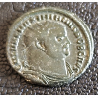 373. Maximianus  radiatus