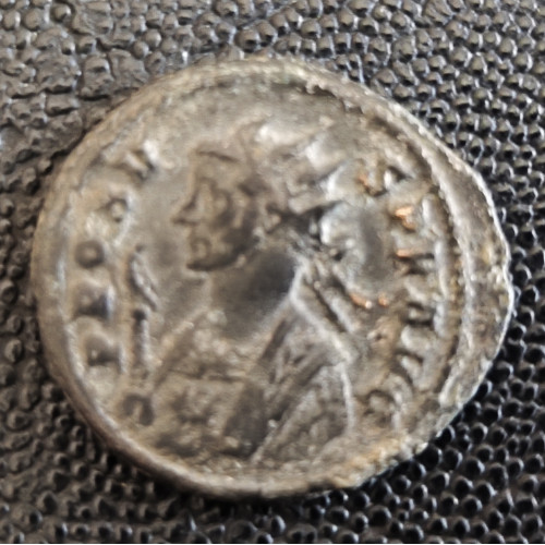 691. Probus antó