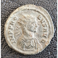 755. Probus  anto