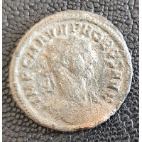 767. Probus  anto