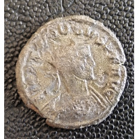 768. Probus  anto