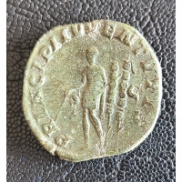 004. Maximus Caesar "R"
