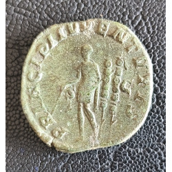 004. Maximus Caesar "R"