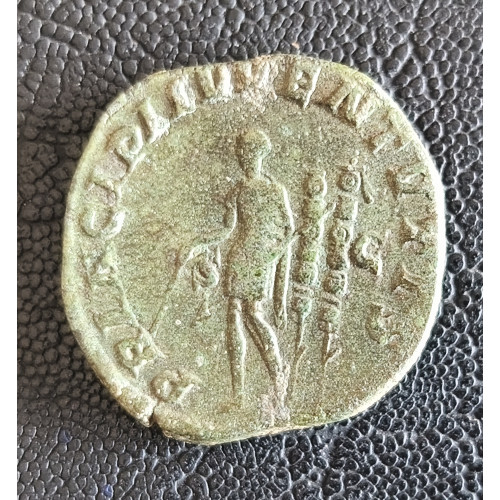 004. Maximus Caesar "R"