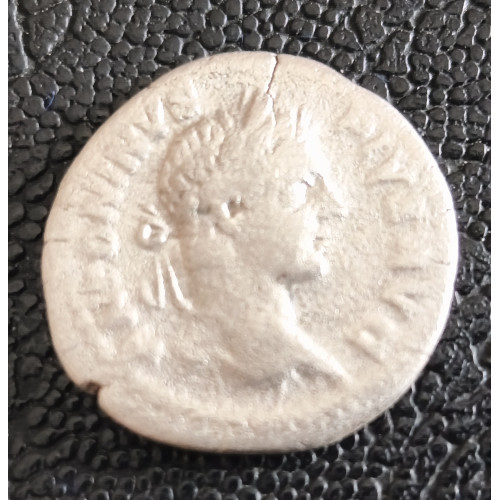 682. Caracalla  dénár